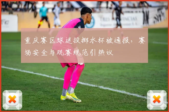 重庆赛区球迷投掷水杯被通报,赛场安全与观赛规范引热议